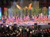 朵舞民族服饰助力中国东盟指天椒节晚会演出、巡游及美食展示等活动