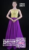 紫色雪纺金衣长礼服
