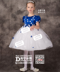 宝蓝白纱裙多花女童服_EX018