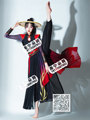 黑红相间女侠风飘逸象王行古典